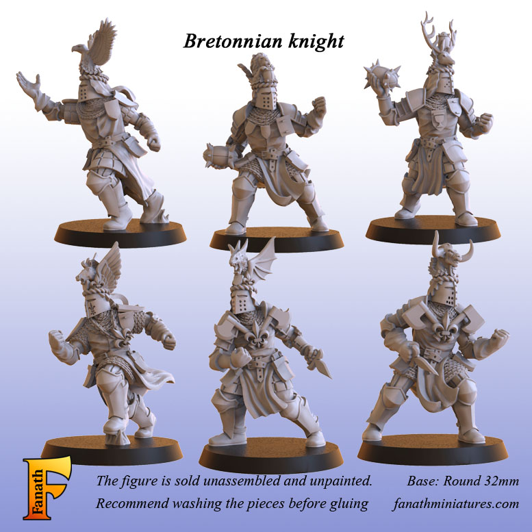 Bretonnia Knight (6)
