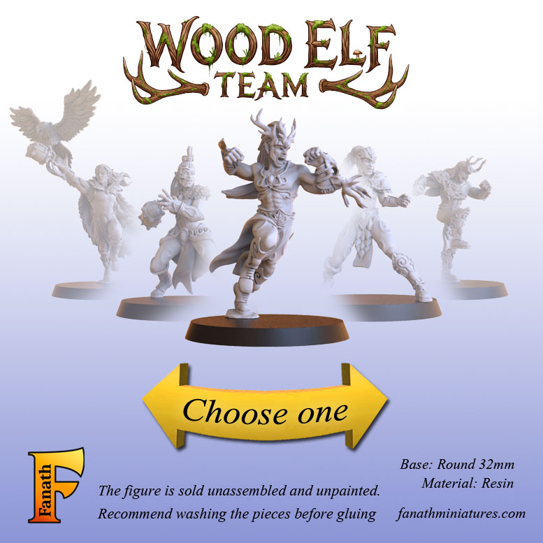Wood elf choose one
